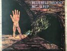 Rare Big Sleep Bluebell Wood 1st UK Press LP Peg4 A-1U/B-1U EX/EX+