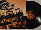 Vinyl Lp  ISD Rock O Rama Rebelles Europeens Skinhead oi