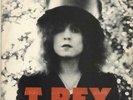 T-Rex / Tyrannosaurus Rex vinyl LP  record The Slider - EX