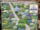 Fiddlehead - Between The Richness Quad Colored Vinyl Newbury Comics SOLD OUT