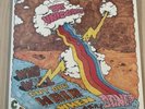 Who Will Cut Our Hair The Unicorns Vinyl Record LP Reissue Black 180 Gram Sealed