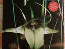 PSYCHIC TV - Dreams Less Sweet LP + 12
