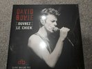 David Bowie - Ouvrez Le Chien Double LP Live Dallas 1995