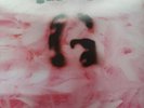 Garbage First Album Deluxe Box Set Meg Rare Inc Signed Print. Unplayed