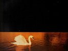 Van Morrison Avalon Sunset NEAR MINT Polydor Vinyl LP