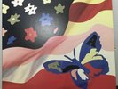 the avalanches wildflower vinyl used