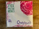 Siouxsie & the Banshees: Overground (The Thorn) / Polydor SHE8 / UK 7