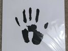 Malcolm Middleton David Shrigley Music + Words Vinyl Limited Edition Handprinted