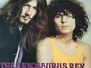 T-Rex / Tyrannosaurus Rex Unicorn - Red Label excellent UK vinyl LP album record