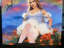 Slayyyter Troubled Paradise Signed Clear Vinyl  & Sticker SOLD OUT  /2500