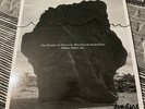 Damon Albarn SIGNED Nearer The Fountain More Pure Stream Flows ‘sea’ Vinyl LP