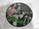 Elvis Presley Debut LP Limited Edition Vinyl Picture Disc LP Brand Sealed King
