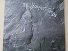 THE YOUNG GODS The Young Gods 1987 UK vinyl LP UNPLAYED Roli Mosimann Swans