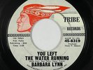 Northern Soul 45 - Barbara Lynn - You Left The Water Running - Tribe - mp3