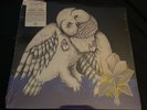 Songs : Ohia The Magnolia Electric Company vinyl LP 10th anniversary deluxe NEW