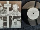 The Blood – Stark Raving Normal 1983 Label: NOYZ1 Excellent Condition(Rare Punk)