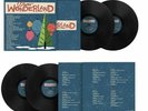 Winter Wonderland 2xLP 26 Festive Favorites Dean Martin Frank Sinatra Brenda Lee