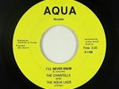 Northern Soul 45 - Chantells & Aqua Lads - I'll Never Know - Aqua - VG+ mp3