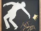 DJ Shadow Signed The Mountain Has Fallen 12” Vinyl Record EP Nas Danny Brown