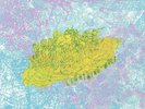 Lightning Bolt RIDE THE SKIES Limited Edition NEW PUKE GREEN COLORED VINYL LP