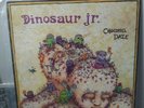 Dinosaur Jr Chocomel Daze Vinyl