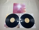 Passion Pit Gossamer Rare Black Colored Vinyl LP Record Electropop Synthpop Neo