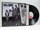 THE DEL-LORDS based on a true story (1st uk press) LP EX/EX, ENVLP 508, vinyl,