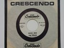 THE SEEDS- 45 rpm Daisy Mae / Can't Seem To Make You Mine -1965 PROMO Rockabilly