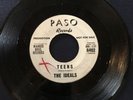 Vinyl: R&B DOO WOP 45 - THE IDEALS = MAGIC/TEENS ON PASO - WHITE PROMO - VG