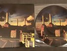 PINK FLOYD ANIMALS  - RARE 12