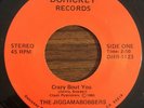 THE JIGGAMABOBBERS Crazy Bout You / Sky Jack Rare Private AOR Rock Power Pop 45
