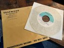 RARE original Studio 45 Recording BEAU HAVENS Wash DC Garage Rock Band music