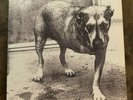 Alice in Chains by Alice in Chains (Vinyl, Nov-1995, Columbia (USA)) - Original