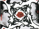 RED HOT CHILI PEPPERS - BLOOD SUGAR SEX MAGIK - DOUBLE VINYL 180G 2xLP *NEW*
