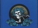 The Story Of The Grateful Dead, LP Set Sealed In Shipping Box,VMP Anthology Mint