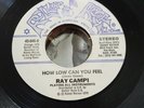 ROCKABILLY Ray Campi Texas Sands / How Low Can You Feel Rollin Rock 046 1979 NM