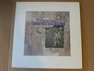 Throwing Muses: University (Deleted Original UK 1995 14 track Vinyl LP)
