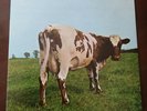 Pink Floyd Atom Heart Mother LP - Stampa Italiana 1986