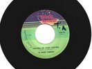 Panama Ragga 45 El Gran Turron - Pantera no come pantera on Happy HEAR