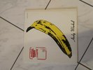 The Velvet Underground &Nico 1966 MGM Records LP Vinyl 12
