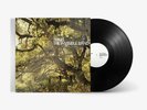 TRAVIS - The invisible band (2021) LP vinyl pre order