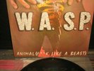 W.A.S.P. 