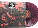 PIGS PIGS PIGS PIGS PIGS PIGS  Off Cuts  Signed Record Autographed