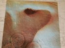 Vintage Pink Floyd Meddle 1971 LP Harvest SHVL-795 Music Rare EX Record Rock