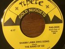 MODERN SOUL 45 RPM - THE BAND OF OZ SHAMA LAMA DING DONG RIPETE RARE BROWN WAX