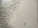 WILCO Sky Blue Sky 2LP Vinyl HALF-SPEED MASTERED Incl. CD  New