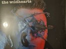 The Wildhearts Earth vs the wildhearts vinyl LP