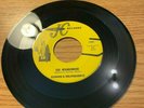 GARAGE 45 RONNIE & DELINQUENTS DR. JOHN REBBENECK BAD NEIGHBORHOOD JC 1000 MINT