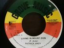 Living In Mount Zion - Patrick Andy