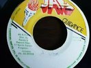 Field Marshall - The Wailers Band